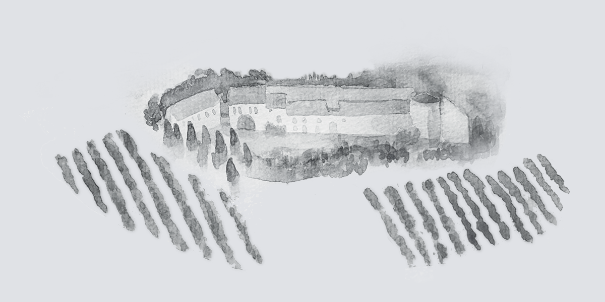 Illustration of the domain of Château Pech-Latt